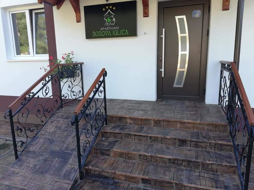 118647275-4871466399533790-5871942550331644702-n